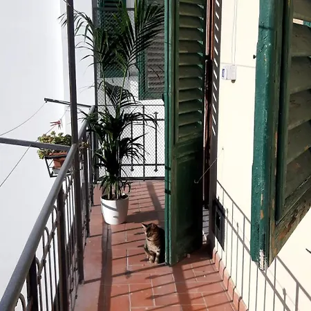 Florence Homestay Φλωρεντία